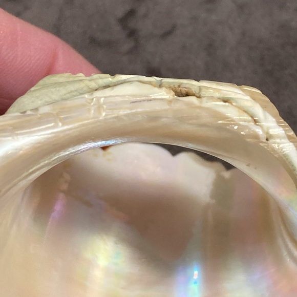 Antique Carved Green Turbo Shell Basket - Picture 9 of 9